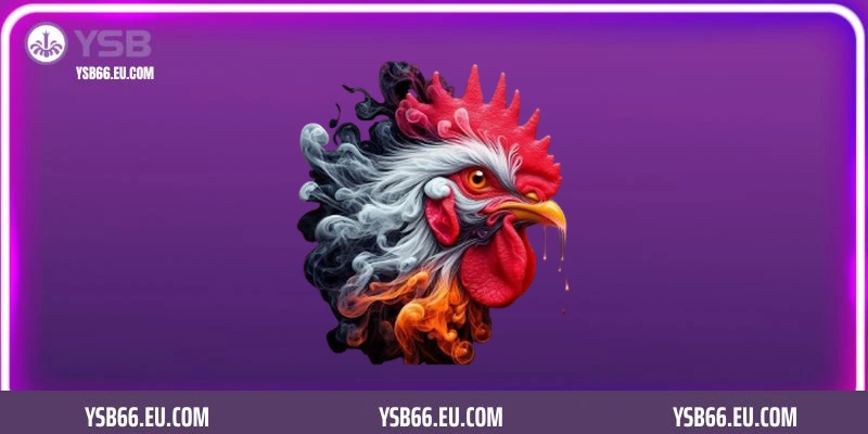 Những loại hình đá gà tại đá gà Campuchia YSB66