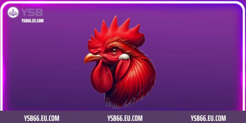 Giới thiệu một vài nét tổng quan về sân chơi đá gà casino hôm nay YSB66