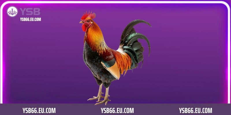 Hình thức giải trí đá gà trực tuyến đặc trưng