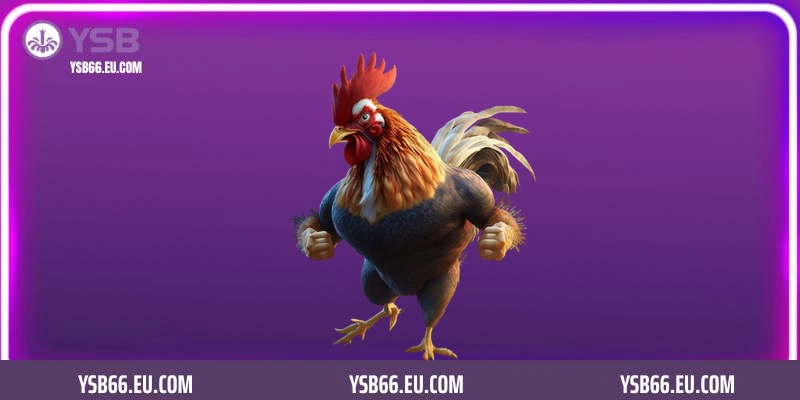 Luật chơi đá gà tại sảnh cược cho hội viên mới