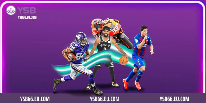 Lời khuyên từ chuyên gia