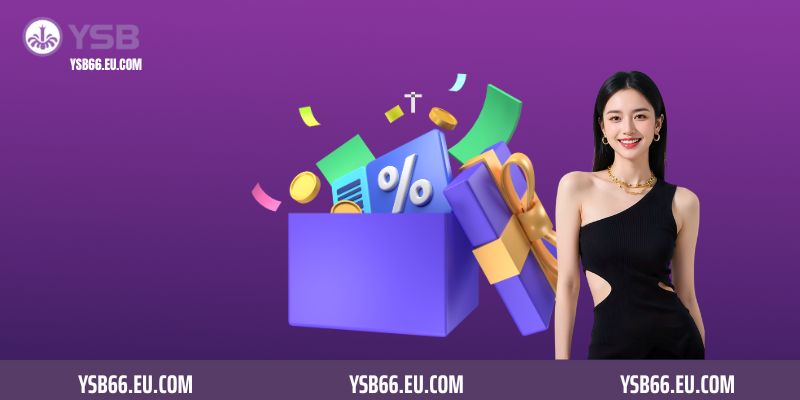 Các chương trình ưu đãi mới nhất hội viên nên tham gia