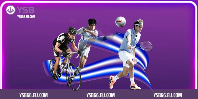 Thông tin về sảnh thể thao YSB66 đẳng cấp 